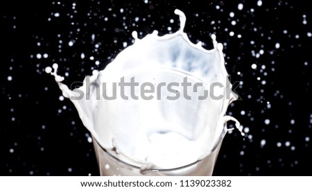 Milk Splash On black background