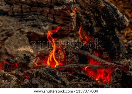 texture flame from burning logs at night close up