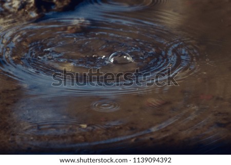Blurry water bubbles isolated unique natural background photograph