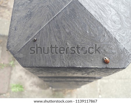 Metallic black parking sign with two ladybugs on it