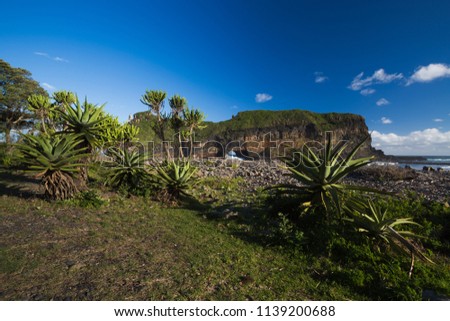 A landscape image of the famous Hole in the Wall landmark near Coffee Bay in the Wild Coast of the Eastern Cape in South Africa. Green aloes in the foreground and a blue sky and sea in the background. Royalty-Free Stock Photo #1139200688
