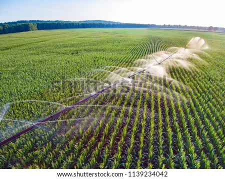 Sun reflecting on irrigation system - aerial view Royalty-Free Stock Photo #1139234042