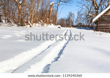 ski track to forest in little russian village in sunny winter day in Smolensk region of Russia