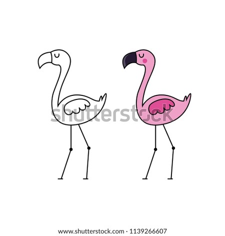 flamingo pink vector