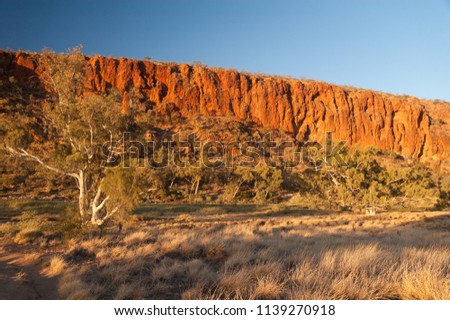 The red sandstone cliffs above the dry Finke River bed at Glen Helen Gorge in warm, early morning light. West MacDonnell National Park, Northern Territory, Australia. Royalty-Free Stock Photo #1139270918