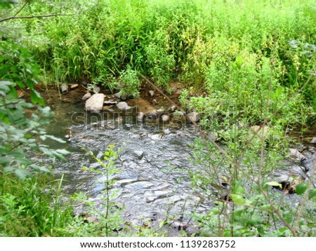 Beautiful mountain stream during the summer season, which runs through part of the mountain, which is rich in green low-growing plants, a complete landscape looks like it was painted on canvas
