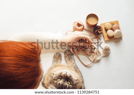 View of the table above where kitty and female drink coffee and unravel tangle. Cat looks right to camera and red hair young woman drink latte, eat macarons and knits yarn. Sunny morning.