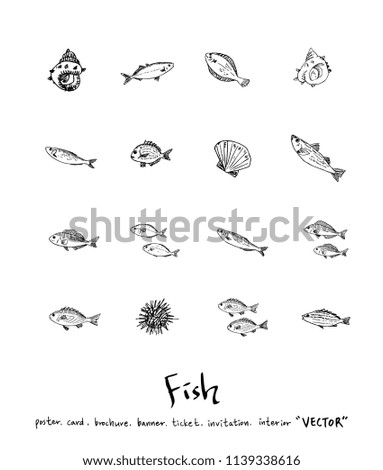 sea food illustrations / Hand drawn food ingredients - vector