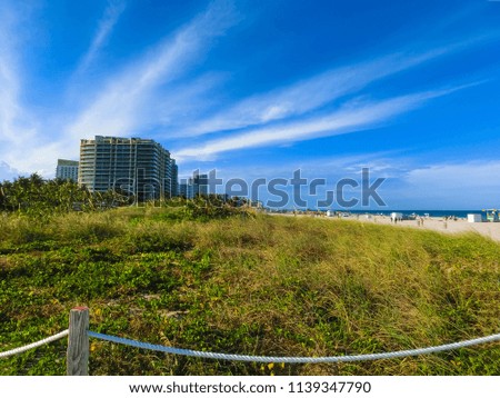 Miami Beach in Florida with luxury apartments and green grass near waterway