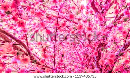 Man-made-Cherry blossom branches 