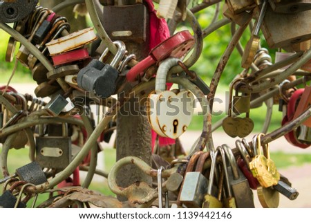 Many colourful closed locks on the Bridge of love in tree