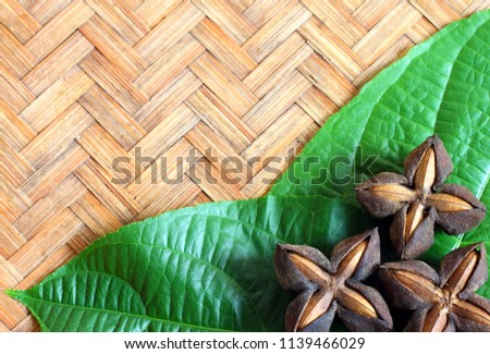 Seeds inca peanut or sacha peanut or sacha inchi or mountain peanut place on the wooden background.