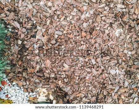 Decorative wood chips. Natural wooden shavings