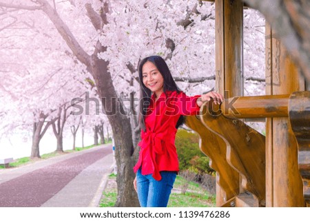 Beautiful asian women witth cherry blossom during spring season in South Korea.