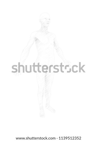 3d illustration of human body