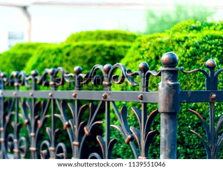 iron forged fence, wrought iron ornaments,horizontal photo,natural light, space for copy, closeup,