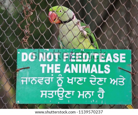 A animal saying at the zoo