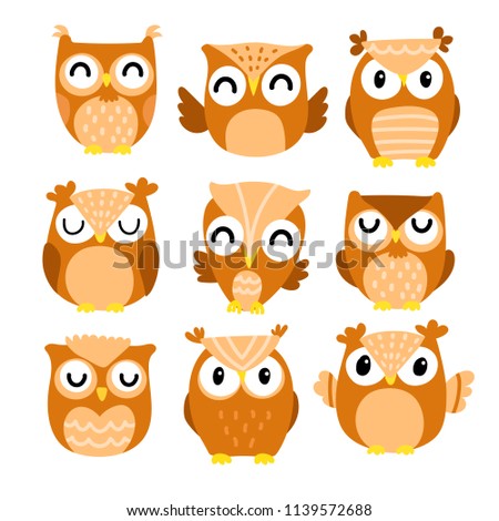 owl character vector design