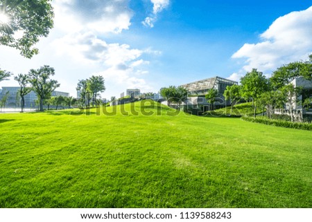 green lawn with panoramic city skyline