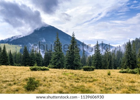 Mountain landscape in nice sunny weather. View from green grassy valley of high mountain covered with white foggy clouds. Beauty of nature, tourism, traveling and environment preservation concept.