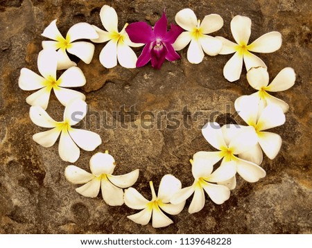 Frangipani flowers and orchids arranged in a heart shape on a brown stone.