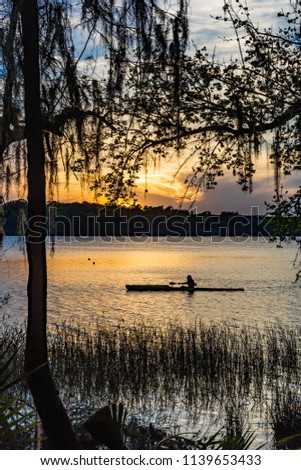 Rower paddling down pond in Payne's Prairie in Florida