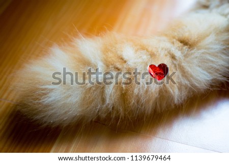 red heart love sticker on cat tail