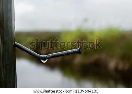 Single raindrop off of bent nail with blurry background