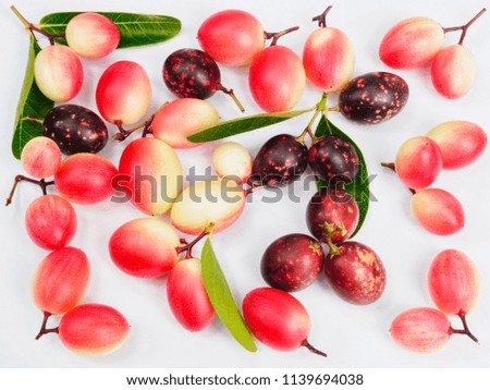 fruit picture on a white background