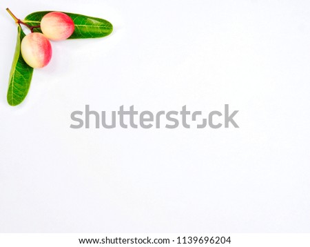 fruit picture on a white background