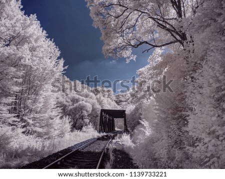 infrared photography - ir photo of a  bridge in the nature