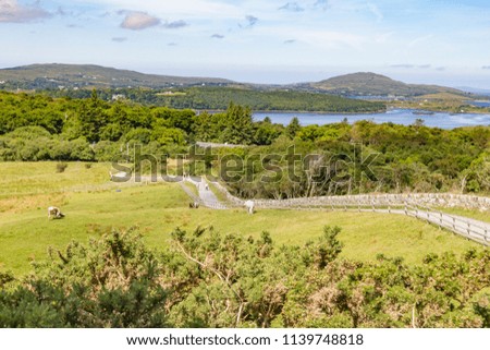 Trail in Connemara park with Ballynakill Bay with mountains in Letterfrack, Ireland