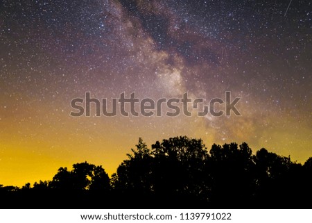 night scene, milky way above a forest silhouette