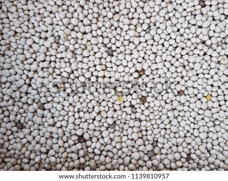 white beans as a background. place for text. source of vegetable protein
