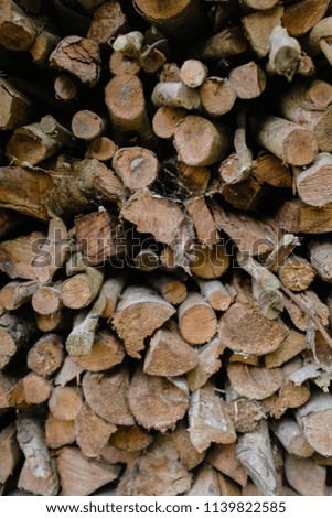 Pile of firewood Backgrounds/Textures. Preparation of firewood for the winter and use for cooking, firewood background, Stacks of firewood in the forest.
