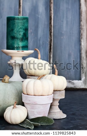 Thanksgiving Day or Halloween autumn decorations with heirloom mini white and grey pumpkins and candles against a rustic autumn background.