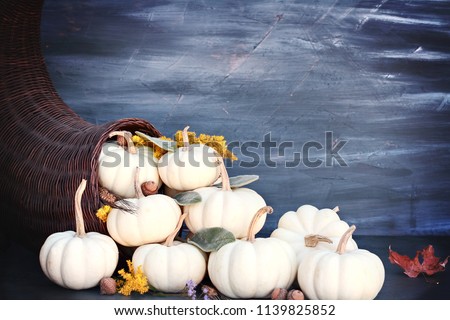 Thanksgiving or Halloween cornucopia or Horn of Plenty against a dark background with mini white pumpkins, acorn and Autumn wildflowers spilling out. Free space for text.