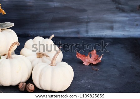 White mini pumpkins and acorns sitting on dark rustic table with free space for copy text. Halloween or Thanksgiving Day background.