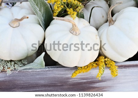 Old wooden tool box filled with mini white pumpkins, Lamb's Ears leaves, Golden Rod, and Queen Anne's Lace flowers to decorate a Thanksgiving or Halloween table.