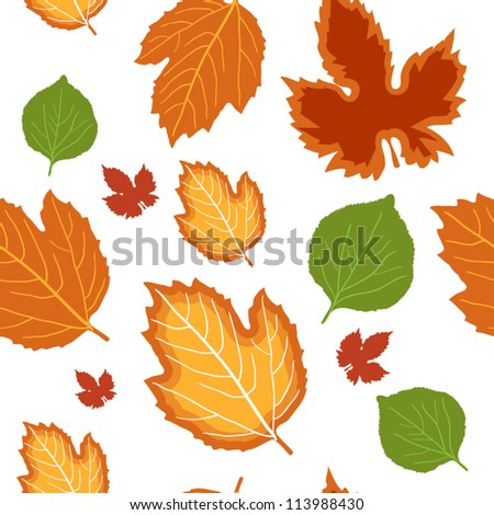 seamless pattern from autumn  leaves on white background