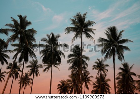 Coconut palm trees - Tropical summer breeze holiday, Vintage tone effect