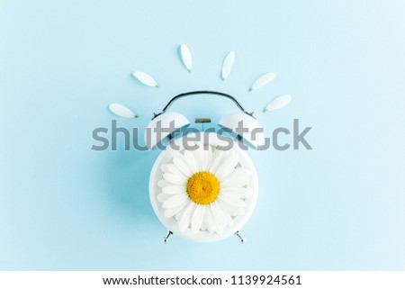 Composition-Summer time from chamomile flower and clock on blue background. Flat lay, top view