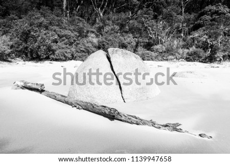 Split granite rock and driftwood in sand on forest coastline in black and white