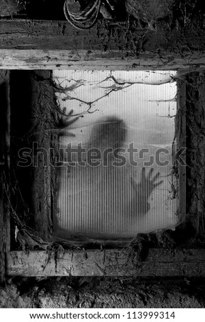 Photo of a zombie outside a window that is covered with spiderwebs and filth.
