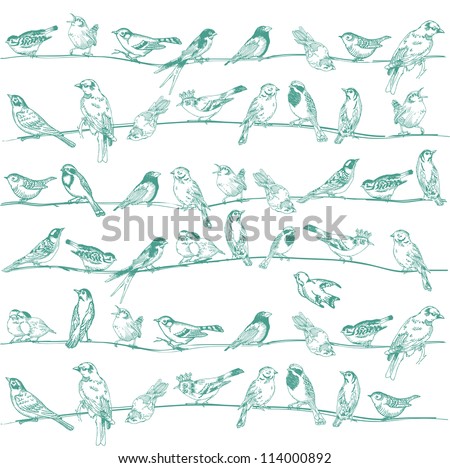 Birds Seamless Background - for design and scrapbook - in vector