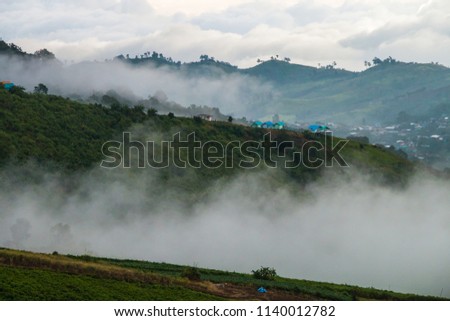 Morning landscape view