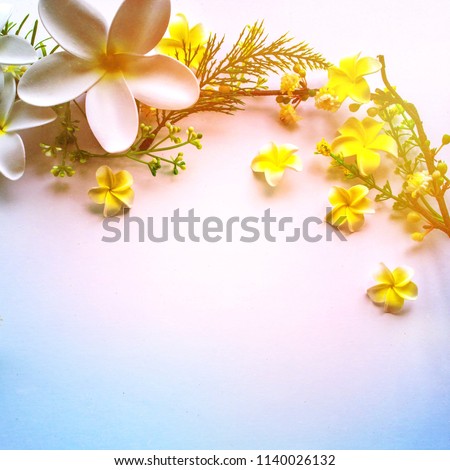 Festive plumeria flowers compositions . Any festival or ceremony concept with copy space for text, overhead view , flat lay and top view