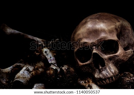 Pictures of the life of the skull and bone in the hole or in the grave are horrific, scary and lonely, while in the sunset or evening. Turn off lights with light and shadow.
It's a police operation. 