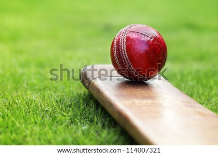 Cricket ball resting on a cricket bat on green grass of cricket pitch Royalty-Free Stock Photo #114007321