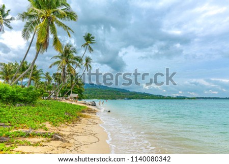 A tropical beach with coconut palms on Koh Samui in Thailand.